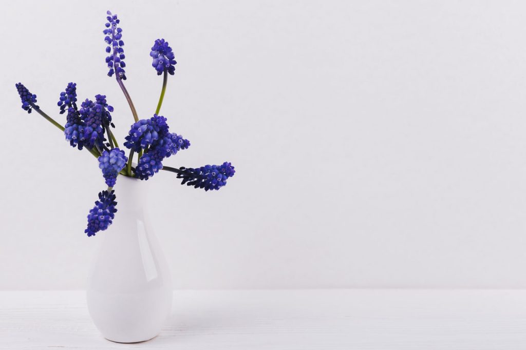 purple-flower- on-table