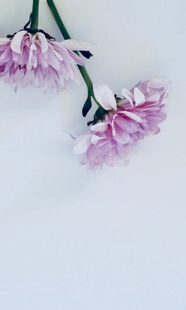 keyboard-with-flower