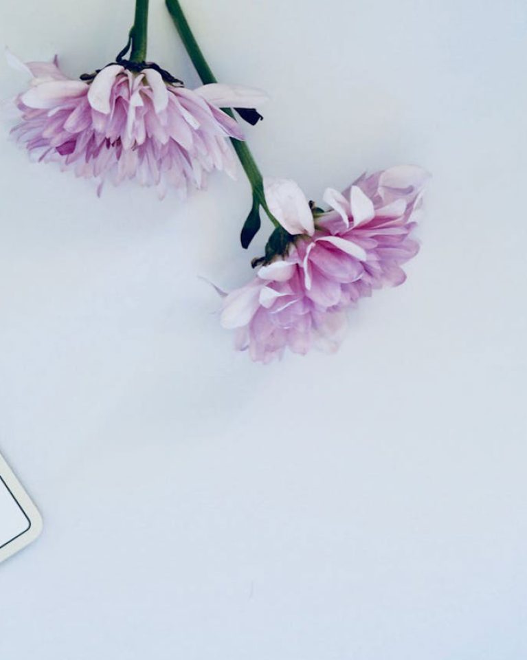 keyboard-with-flower