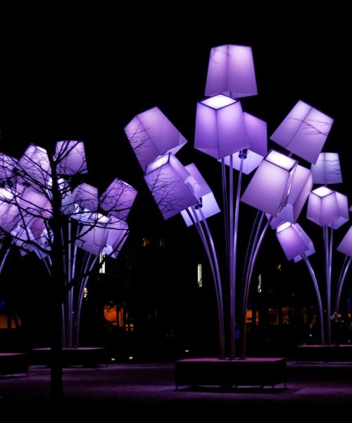 Purple Lights