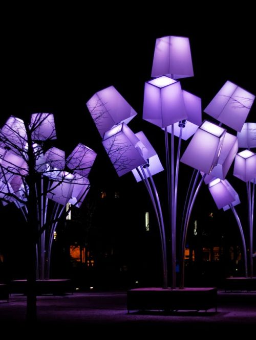 Purple Lights