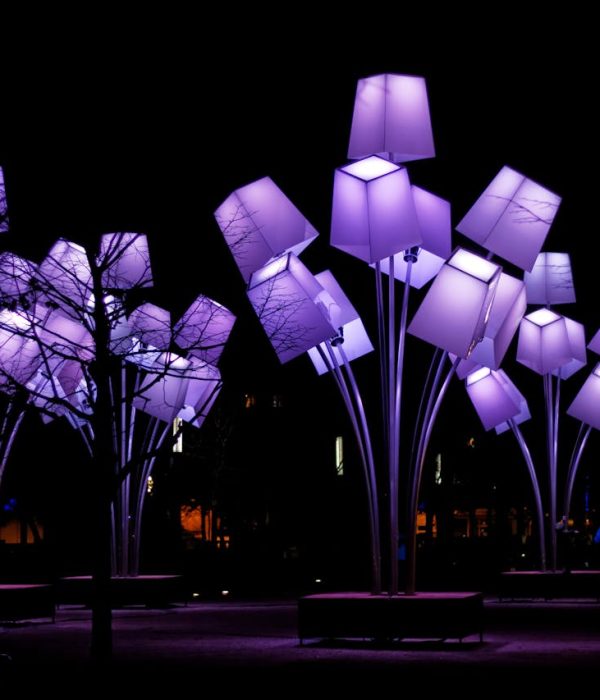 Purple Lights