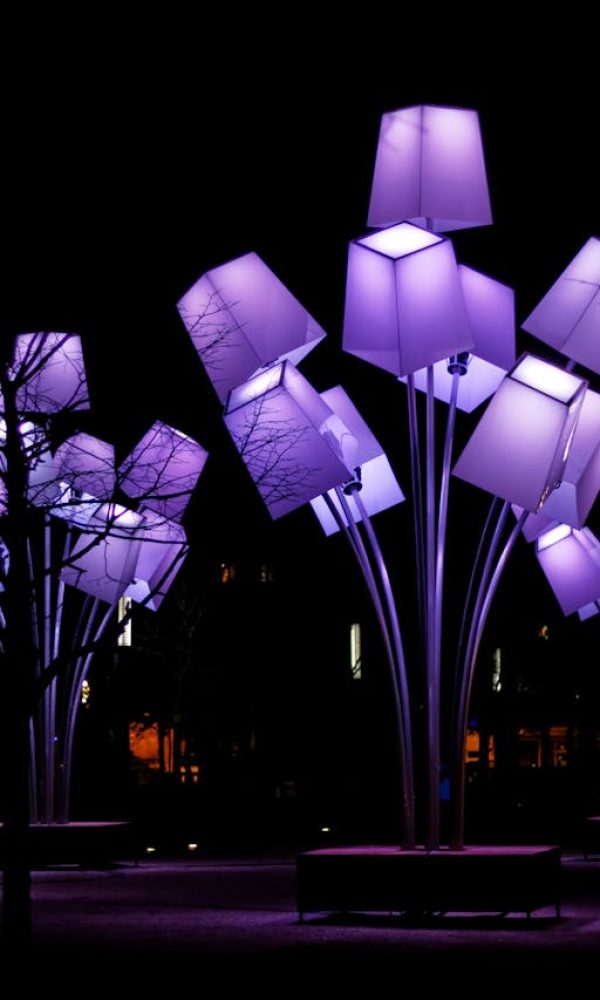 Purple Lights