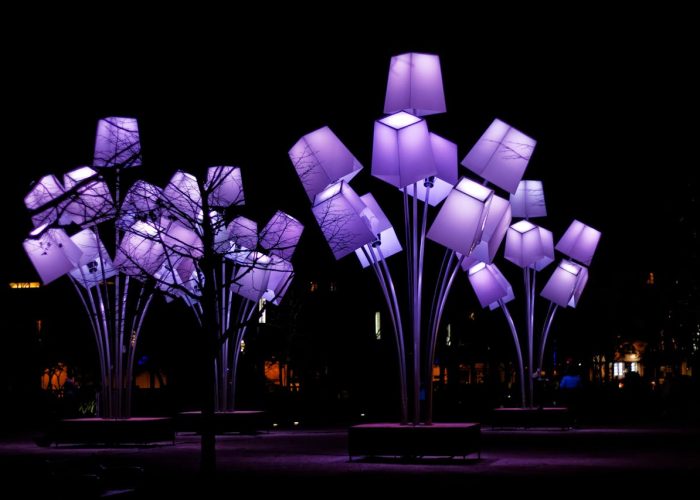 Purple Lights