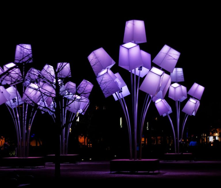 Purple Lights