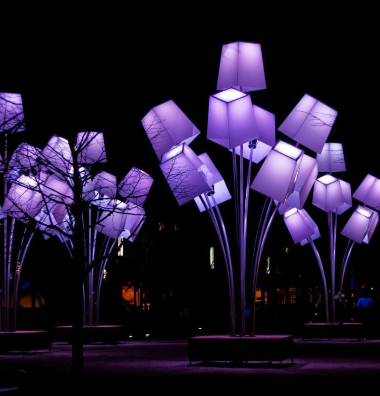 Purple Lights