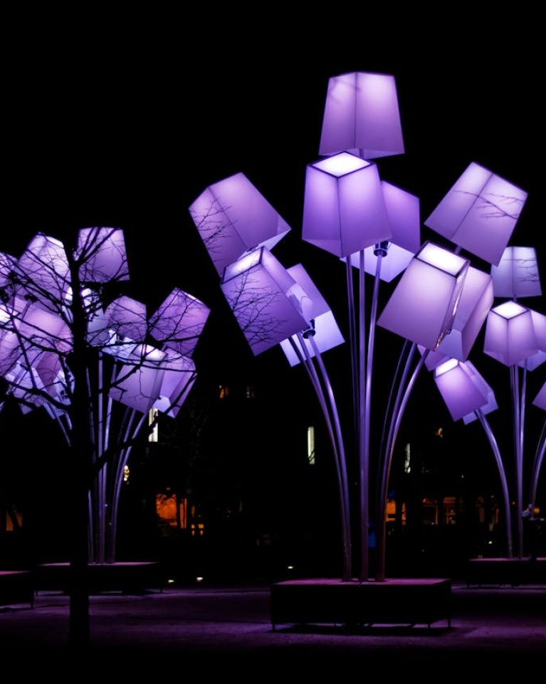 Purple Lights