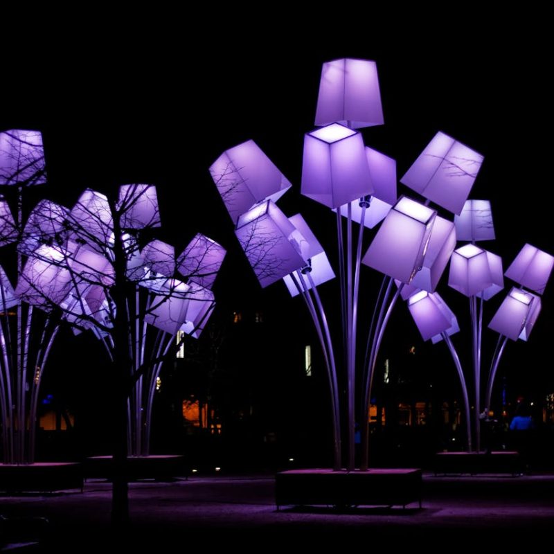 Purple Lights