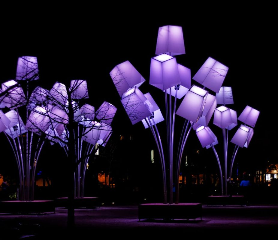 Purple Lights