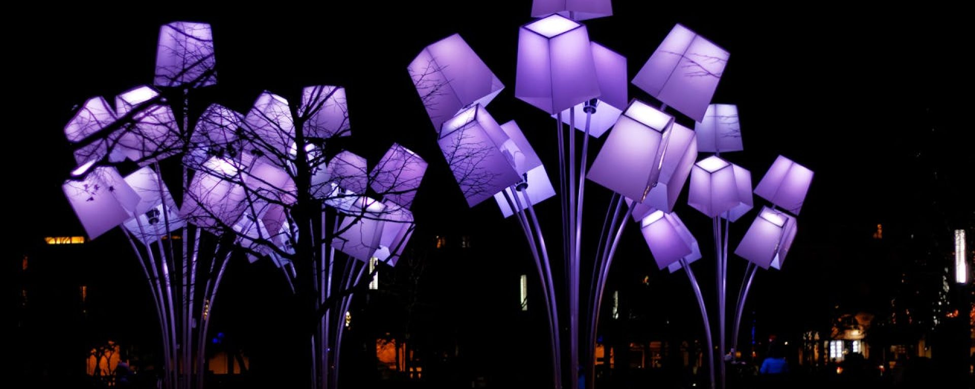 Purple Lights